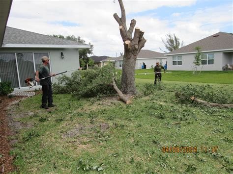 tim's tree service cape coral.